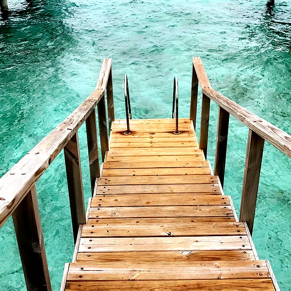 barzomer instagram image archive image