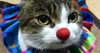 heyoka_creations Altpins Profile Picture