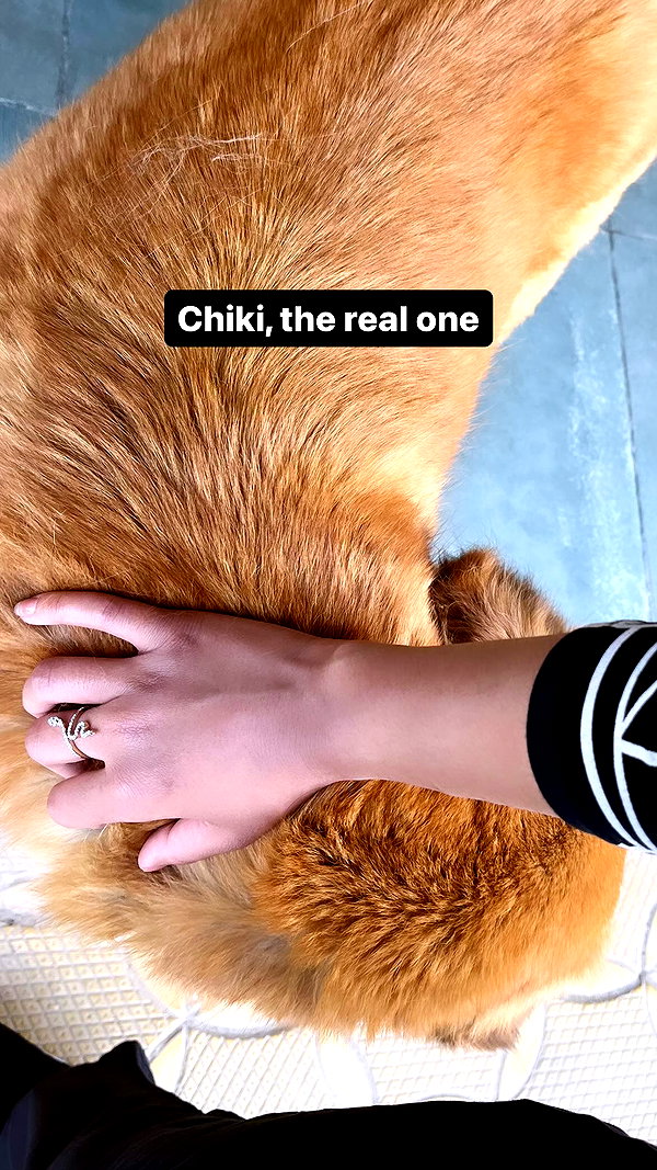 ___larxiii.v__ instagram image archive image