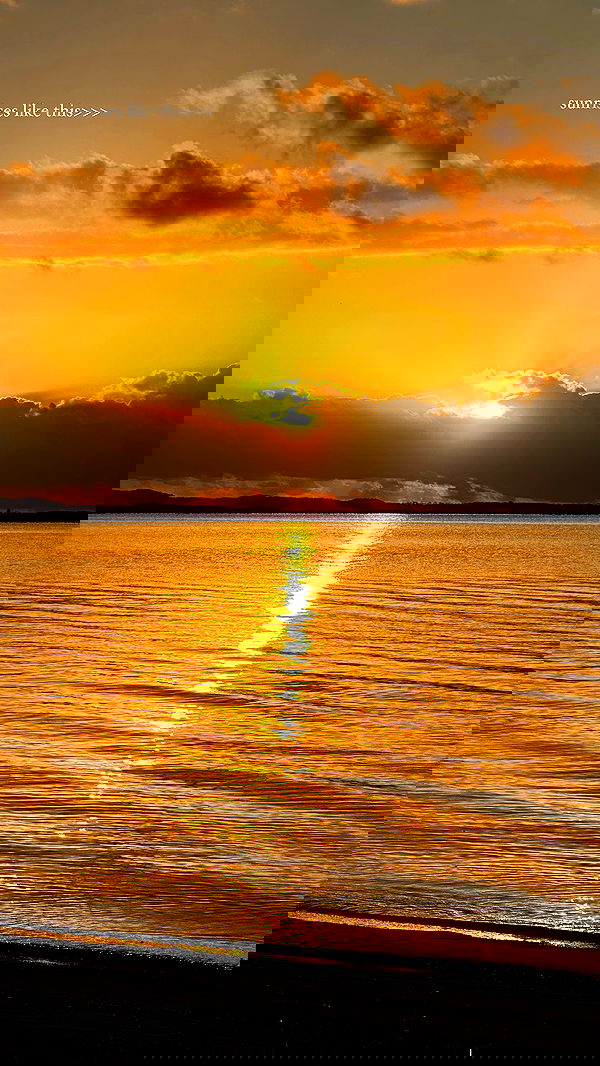 taylor.creeden taylor.creeden archive image