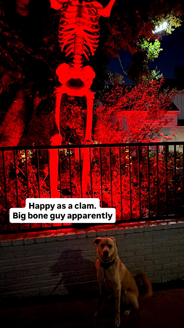 gabbyepstein instagram image archive image