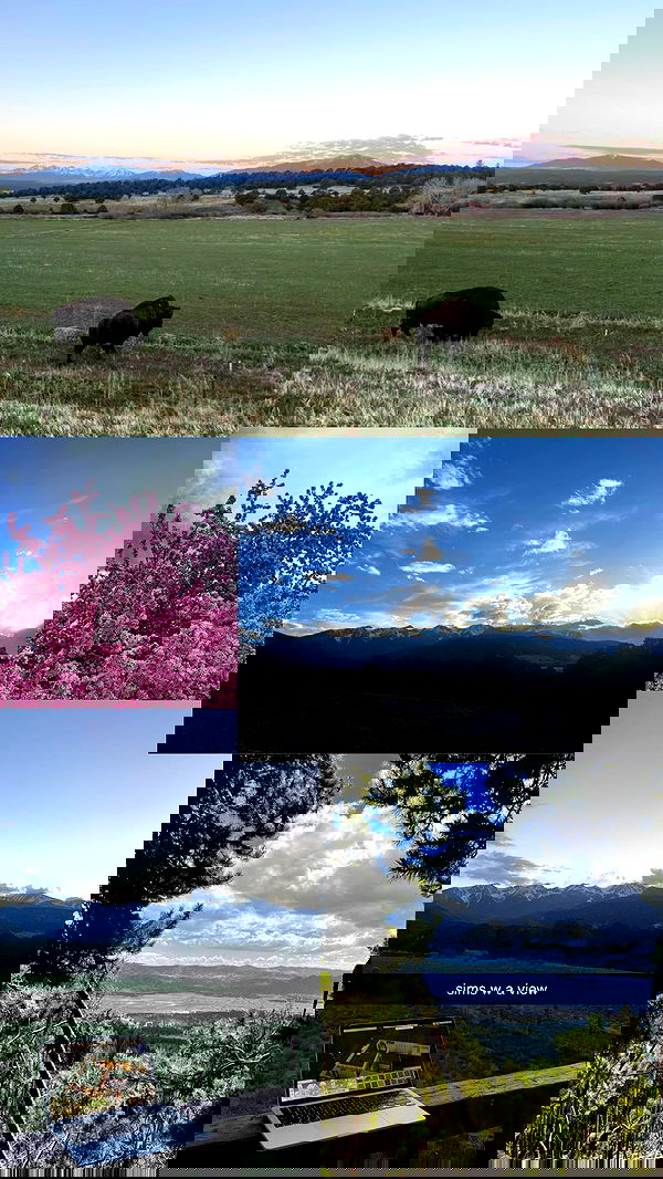 thelizzyporter thelizzyporter archive image