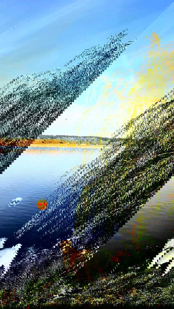 nyityam nyityam archive image