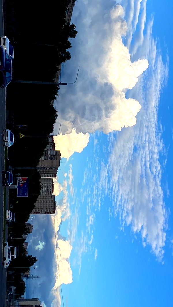 carmexan instagram image archive image