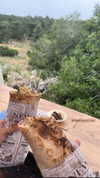 liron_vaitzman Altpins Profile Picture