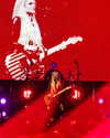 avrillavigne Altpins Profile Picture