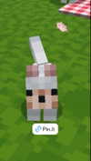 purin4a Altpins Profile Picture