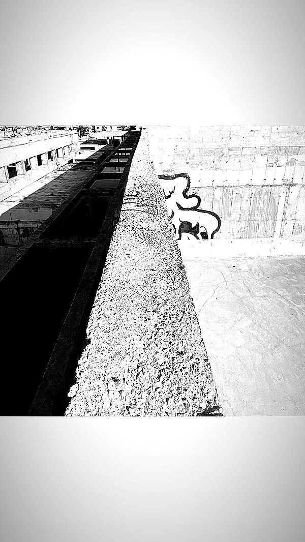 chris_fucking_wild chris_fucking_wild archive image
