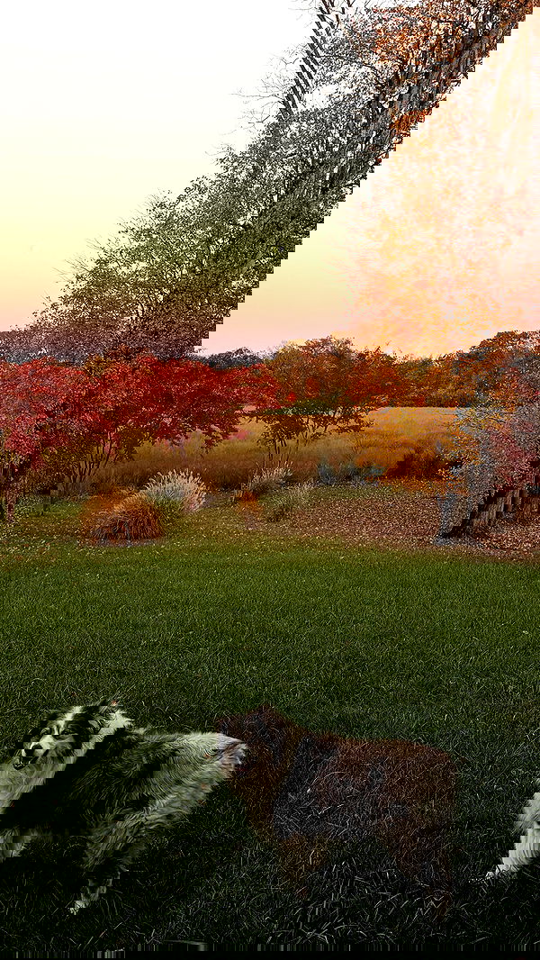 taylor.creeden taylor.creeden archive image