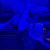 skylasanders Altpins Profile Picture