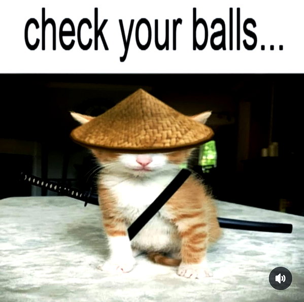 rixiadigivolved instagram image archive image