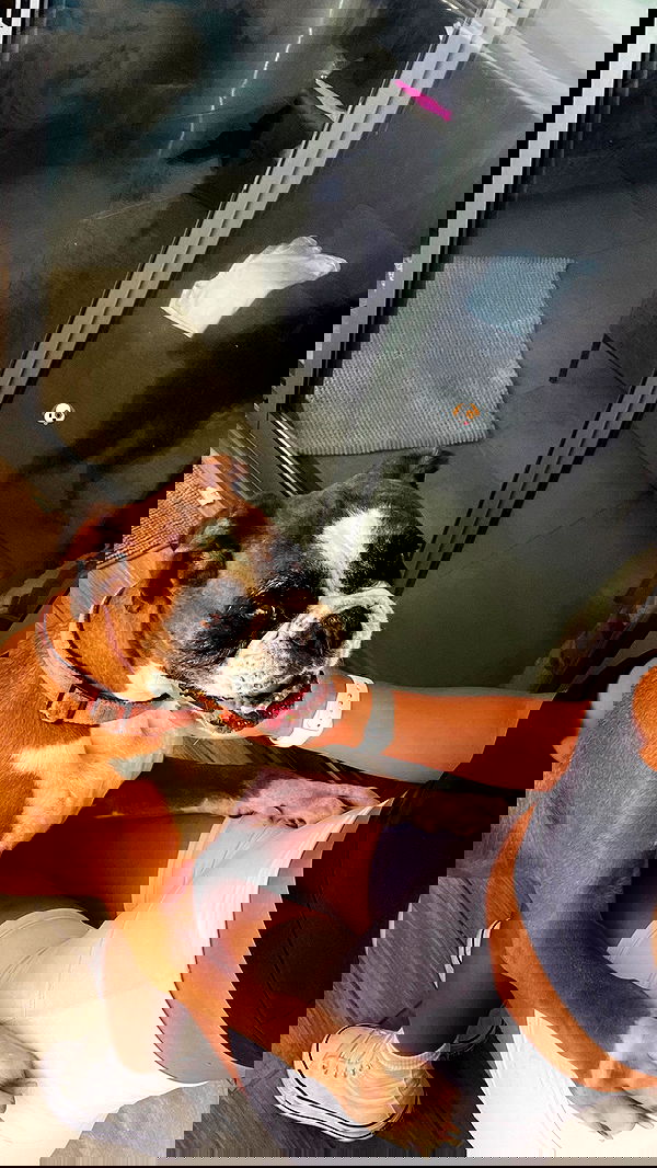 noammalka___ noammalka___ archive image