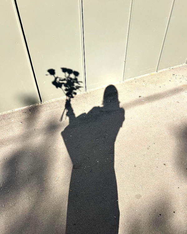 daryanedarya instagram image archive image