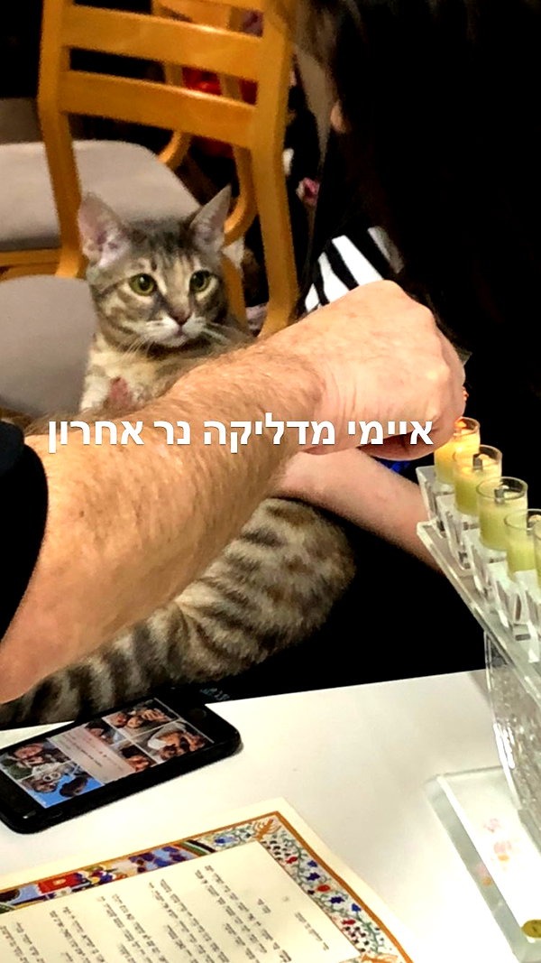 Archived image from @notchicore on Instagram