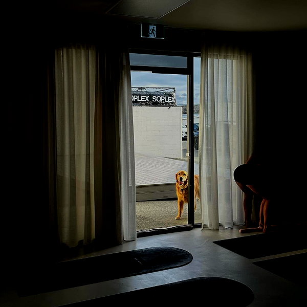 Archived image from @edenharper on Instagram