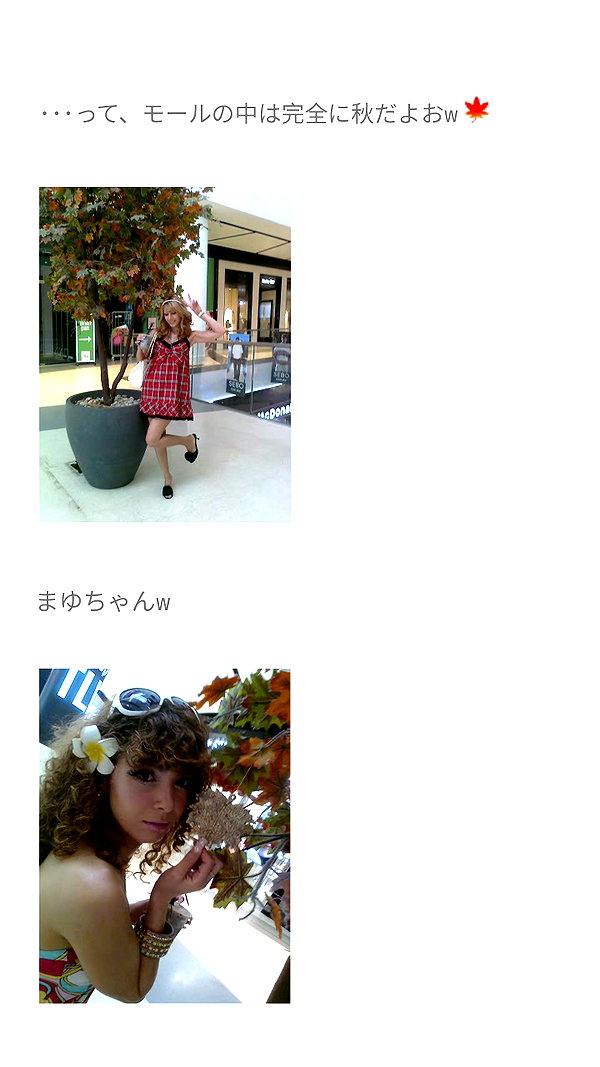 piyokoblog archive image