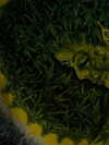 smok3ymok3y Altpins Profile Picture