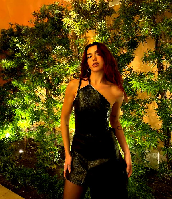 dualipa instagram image archive image