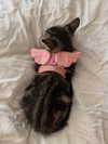 gabbyepstein Altpins Profile Picture