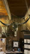 yasminhilde_ Altpins Profile Picture