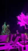 tirtza_cohen Altpins Profile Picture