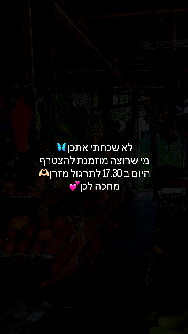 maayan.shaibi maayan.shaibi archive image