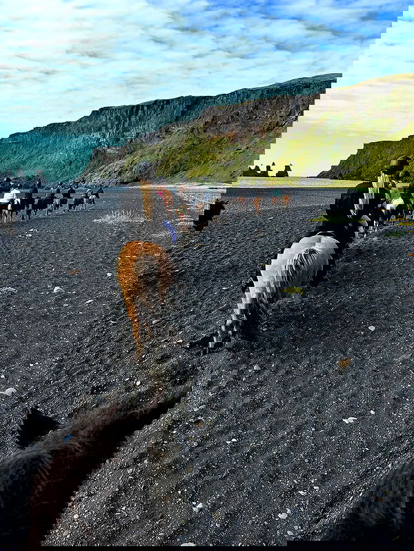 taylor.creeden taylor.creeden archive image