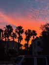 payton.r Altpins Profile Picture
