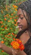 alexconsani Altpins Profile Picture