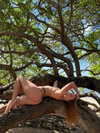 rouxroux.tv Altpins Profile Picture