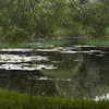 _dead__cherry_ Altpins Profile Picture