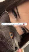 polin.ane.x Altpins Profile Picture