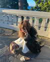 kelseydopegal Altpins Profile Picture