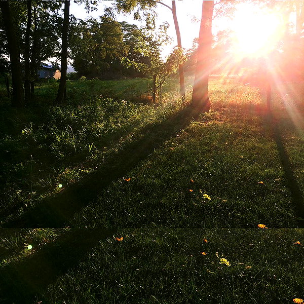 hallucineon instagram image archive image