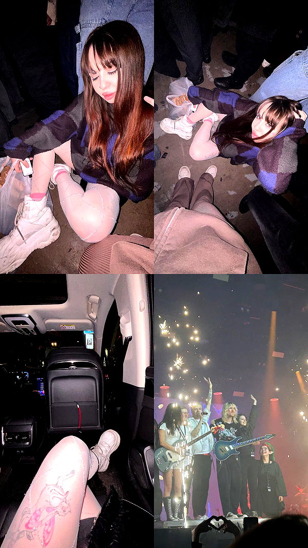 rcarrnattion instagram image archive image