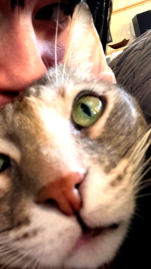 Archived image from @notchicore on Instagram