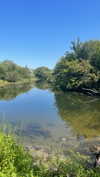 s111y_ccc0nt3 Altpins Profile Picture