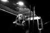 adele Altpins Profile Picture