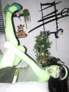 dolllyfied Altpins Profile Picture