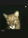 777pb_ Altpins Profile Picture