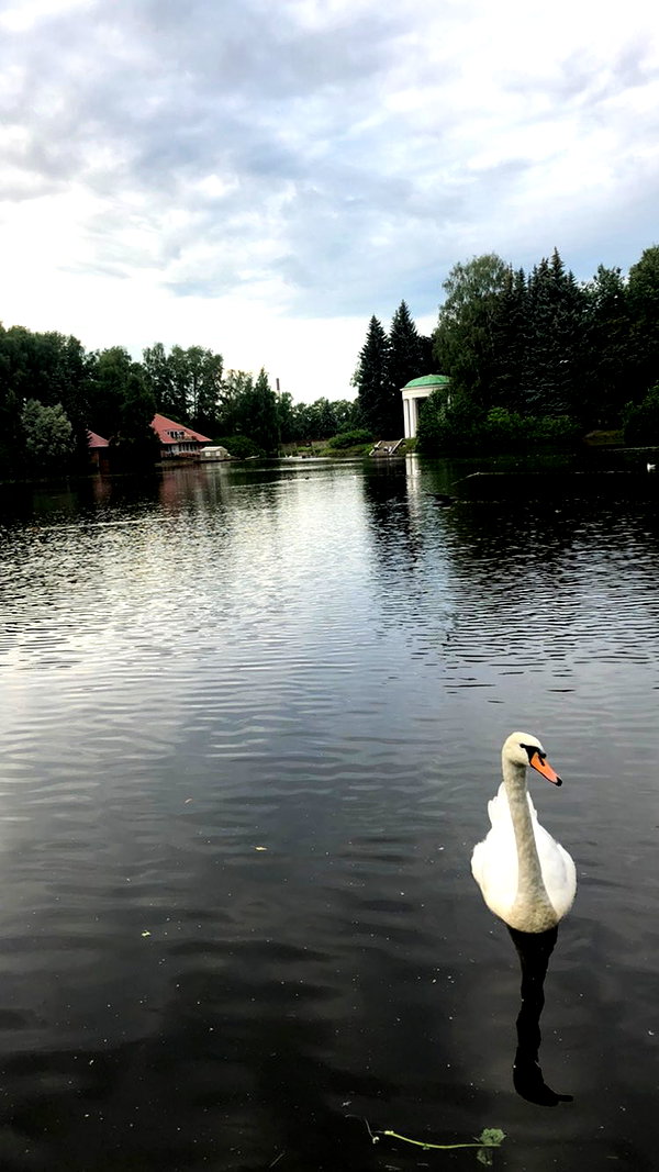 miikheeva_stasiiya instagram image archive image