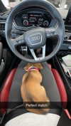 kyla.doddsss Altpins Profile Picture