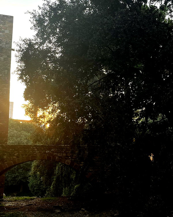 cospxreiw instagram image archive image