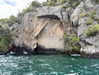 maori_cohen Altpins Profile Picture
