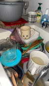 babynympho_archive Altpins Profile Picture