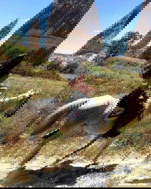 taylor.creeden taylor.creeden archive image