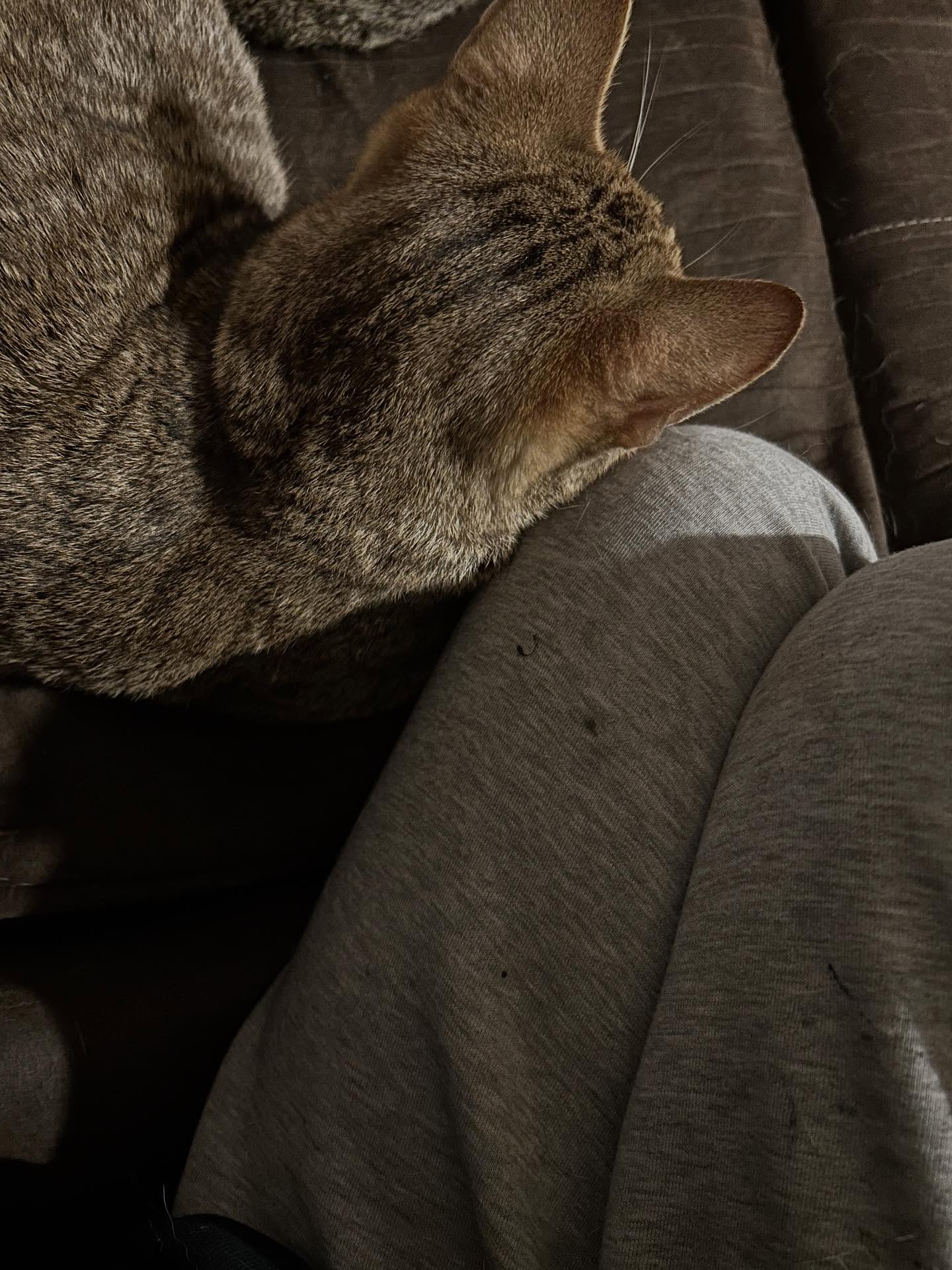 _animechika_ instagram image archive image