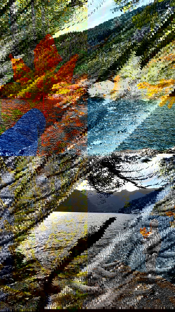 taylor.creeden taylor.creeden archive image