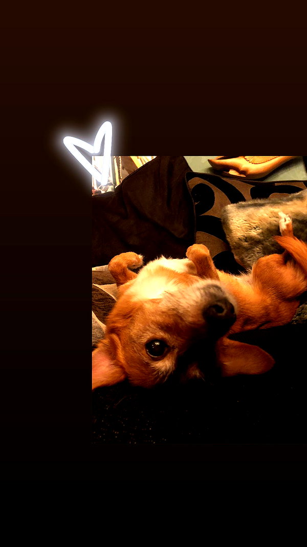 bat.wiings instagram image archive image
