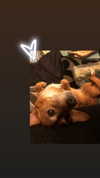 bat.wiings Altpins Profile Picture